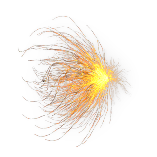 Mitotic Spindle