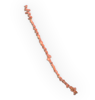 Polypeptide Chain